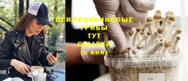 молекула духа Аркадак