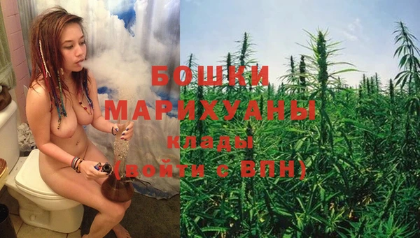 молекула духа Аркадак