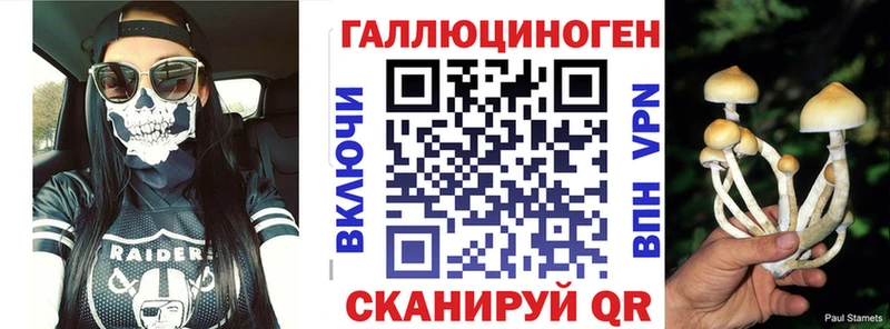 где найти наркотики  Орлов  Псилоцибиновые грибы мицелий 